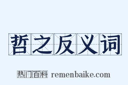 哲之反义词是什么意思的图片